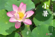 小暑 小暑