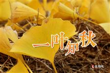 2021年8月7号立秋还热吗 2021年8月7号立秋还热吗