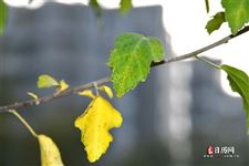 末伏也热吗