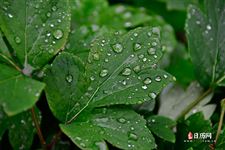 立秋打雷下雨好吗 立秋打雷下雨好吗