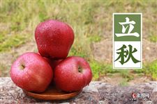 2021年几点钟立秋 2021年几点钟立秋