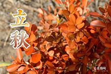 立秋早晚有什么区别 立秋早晚有什么区别
