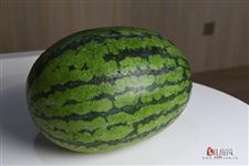 立秋能不能吃西瓜 立秋能不能吃西瓜