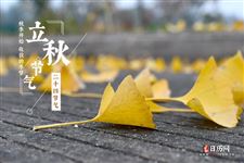 2021年多会立秋 2021年多会立秋