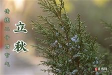 有关立秋的农谚 有关立秋的农谚