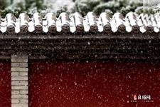 2022今年过年天气冷不冷