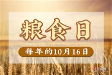 2022年10月16日是什么日子