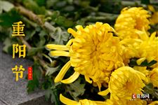 2022年10月4日是什么日子