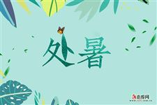 2022年8月23日是什么日子