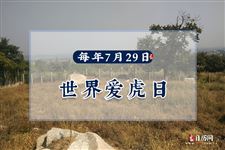 2022年7月29日是什么日子