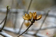 2022年7月27日是什么日子