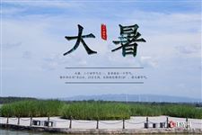 2022年7月23日是什么日子