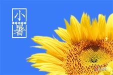 2022年7月7日是什么日子