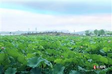 2022年7月5日是什么日子