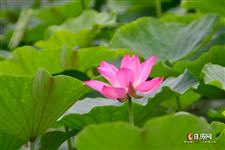 2022年7月3日是什么日子