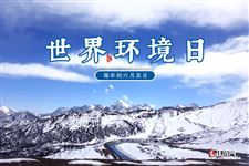 2022年6月5日是什么日子