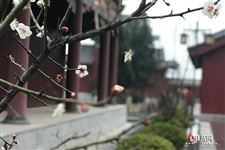 2022年5月24日是什么日子