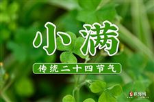 2022年5月21日是什么日子