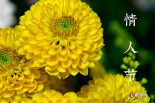 2022年5月14日是什么日子