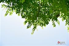 2022年5月13日是什么日子