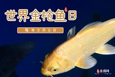 2022年5月2日是什么日子