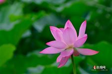 2022年4月19日是什么日子