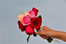2022年2月22号是什么日子