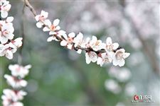 2022年2月22日五行穿衣