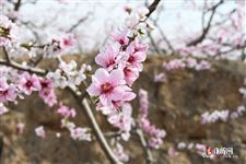 2022年3月12日五行穿衣