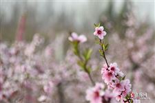 2022年3月14日五行穿衣