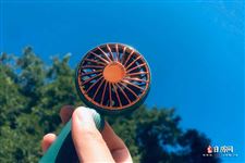 2022年三伏天多少天