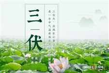 2022年伏天从什么时候开始至结束