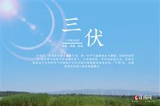 今年多久进伏,多久出伏2022