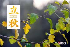 2022年几号立秋 2022年几号立秋