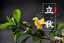 立秋时间2022几点几分,二零二二年几点立秋 立秋时间2022几点几分,二零二二年几点立秋