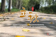 2022年立秋具体的时间是几点几分 2022年立秋具体的时间是几点几分