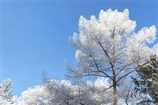 2023三九时间表，今年三九天是几月几号