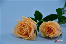 10月27日是什么日子