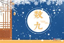 2022年的一九是几月几号