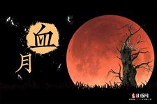 今晚有血月吗，今晚血月几点开始