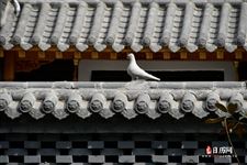 2022年11月10日财神方位