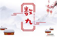 今年数九天从什么时候开始2022