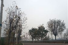2022年二九是哪一天