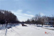 2023年的三九是从什么时候开始