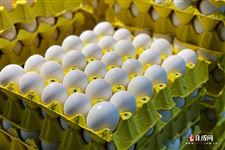 春分竖蛋是什么意思,春分立蛋起源