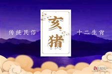 2024年属猪人的全年运势