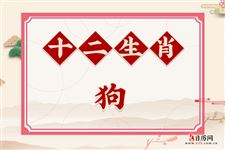2024年属狗人的全年运势