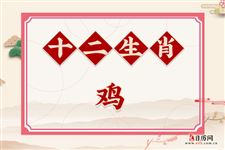 2024年属鸡人的全年运势