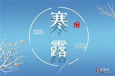 寒露是2024的几月几日