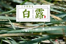 2024年白露节气是几月几日几时开始